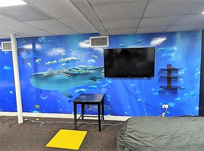 Wall Graphics Photo